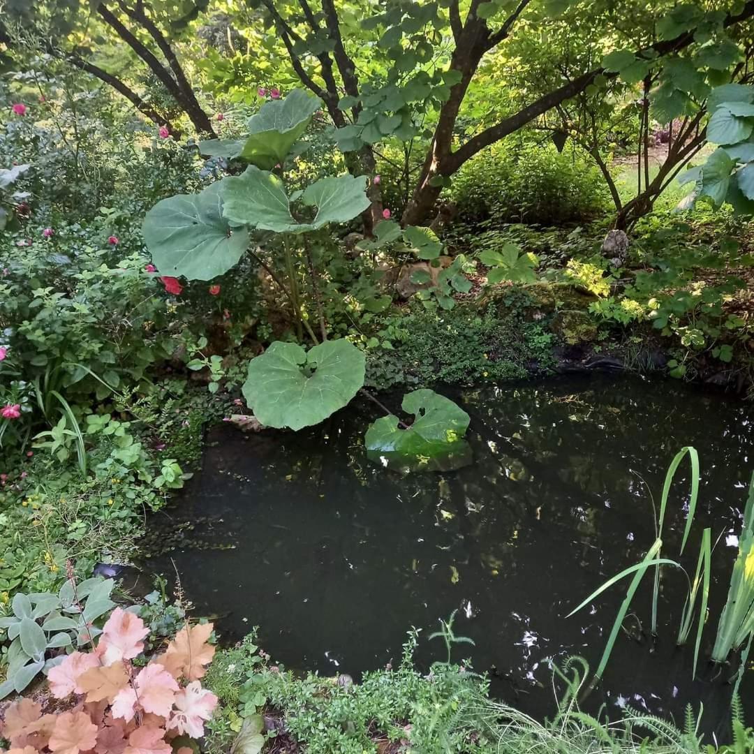 La Haie A Cerf Watronville Zewnętrze zdjęcie